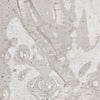 shampoo-lucentezza-3d-2