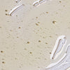 spray-on-oil-2
