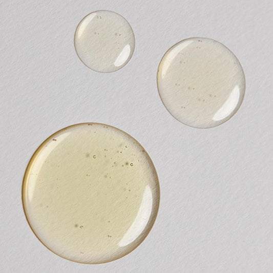 olio-filter-2