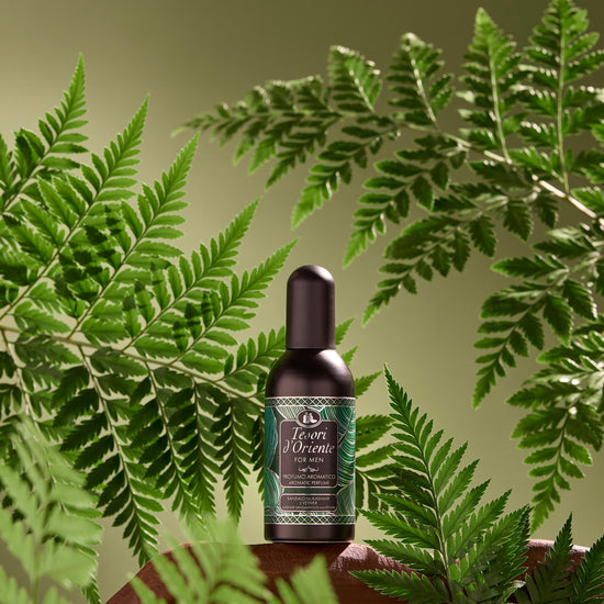8008970037066_Sandalo&Vetiver_EDT