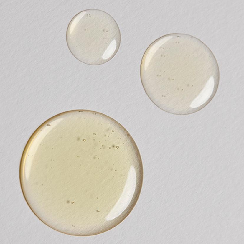 olio-filter-2