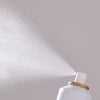lacca-spray-con-gas-2