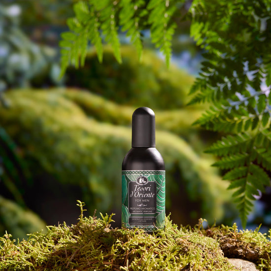8008970037066_Sandalo&Vetiver_EDT